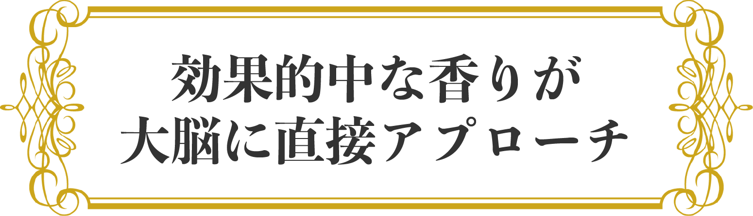 製品紹介