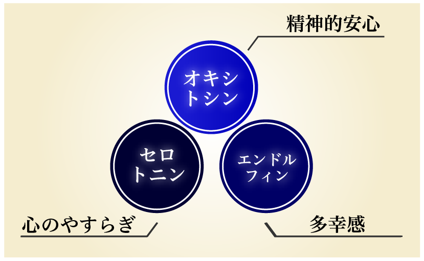 疲れの関係図