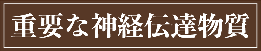 重要な神経伝達物質